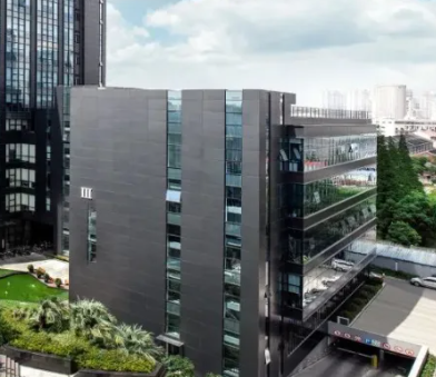 广东本土设计师原创工作室的网页设计趋势与视觉语言解析
