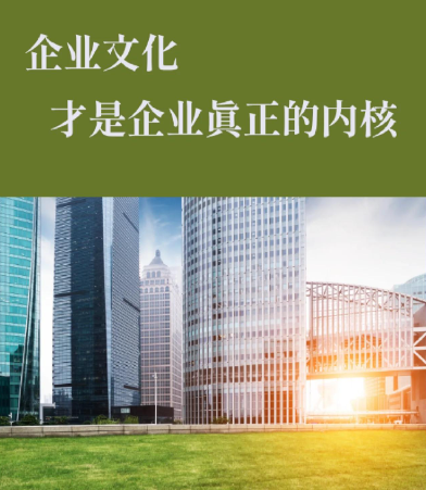 从广州到东莞：本土设计师在网站建设中的地域文化融合实践